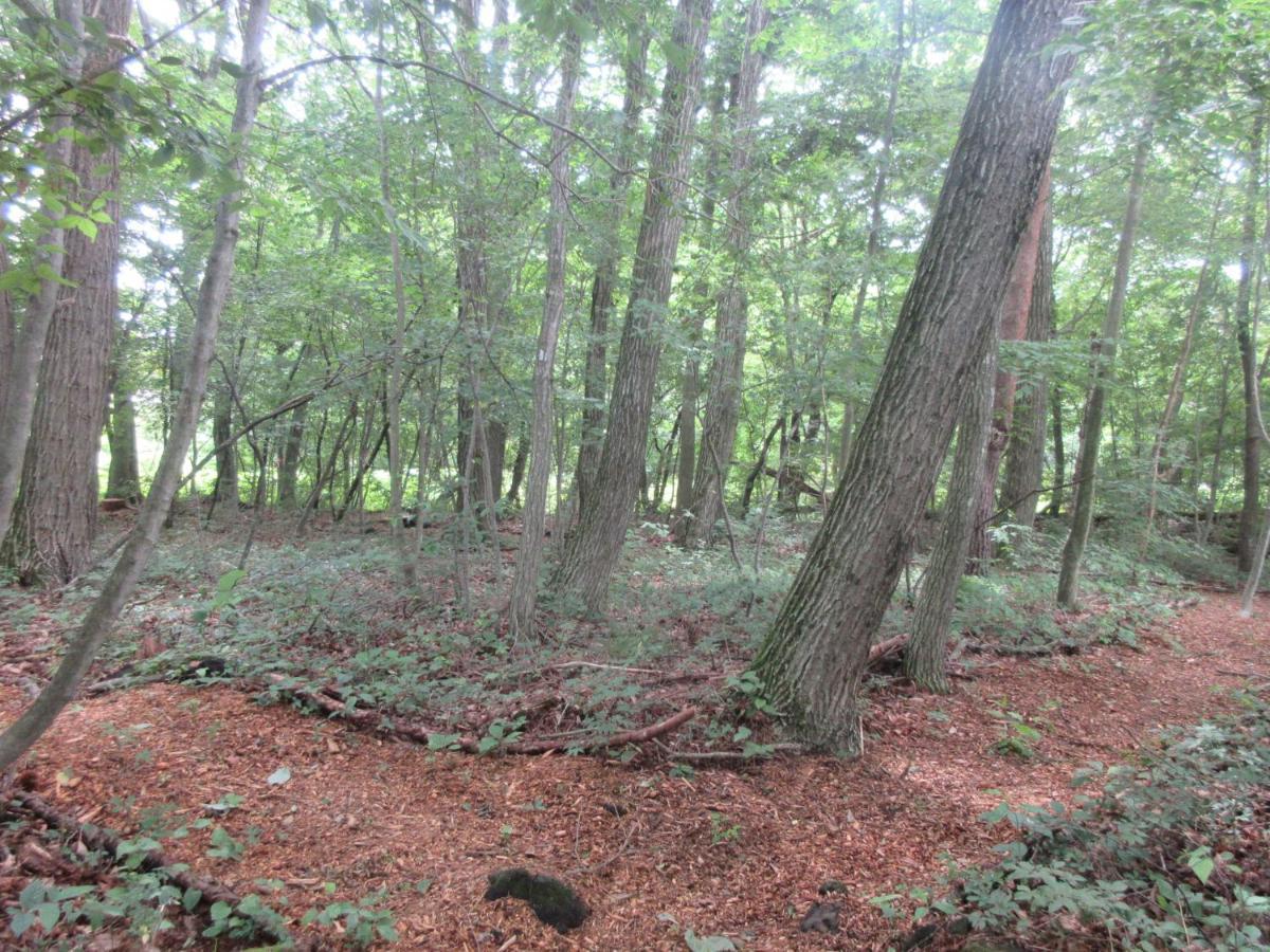 Dogruncafe & Resorts Jennie West-Karuizawa Miyota Ngoại thất bức ảnh